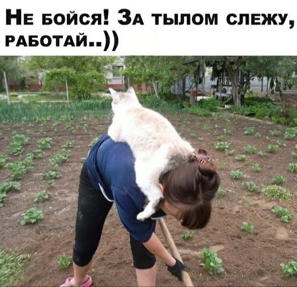 Немного картинок для настроения 22.05.20