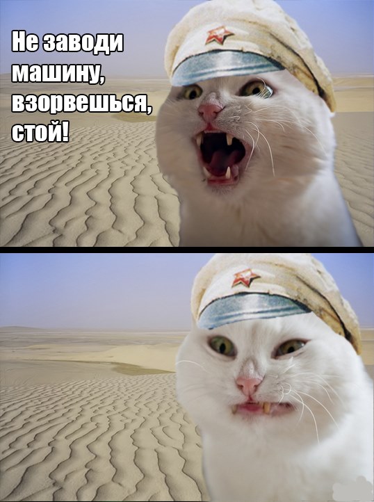 Мужчины сами культивируют в женщинах меркантильность?