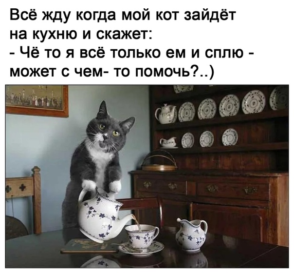 Немного картинок для настроения 21.07.20