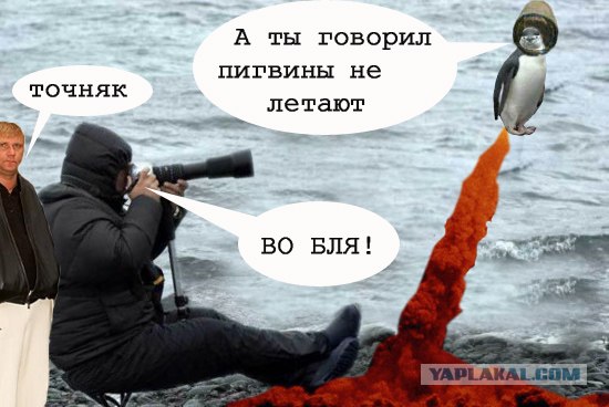 Внимательный фотограф