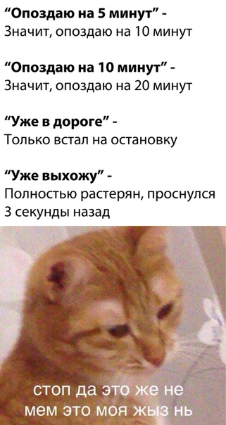 Немного картинок для настроения 20.10.20