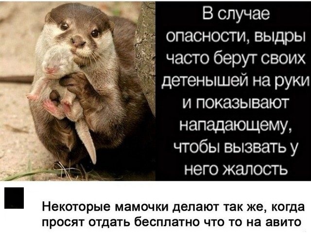 Картинки с надписями и всякие жизненные фразы