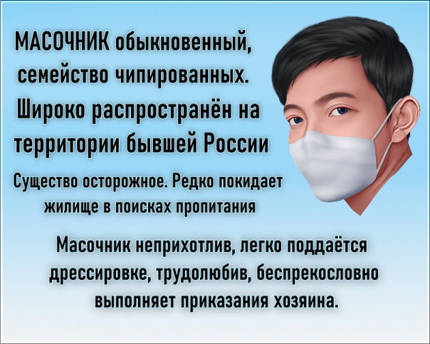 В московском магазине сотрудник полиции «докопался» до маски, которая была на лице пенсионера