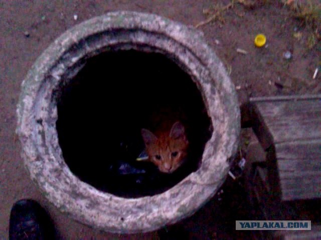 Что она там увидела