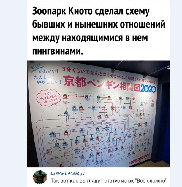Картинки и мемы для настроения 019