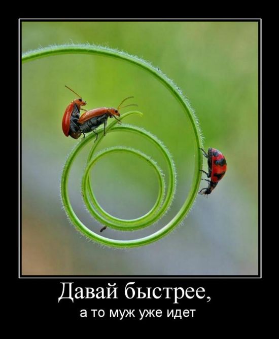 Картинки и мемы для настроения 15.03.2021
