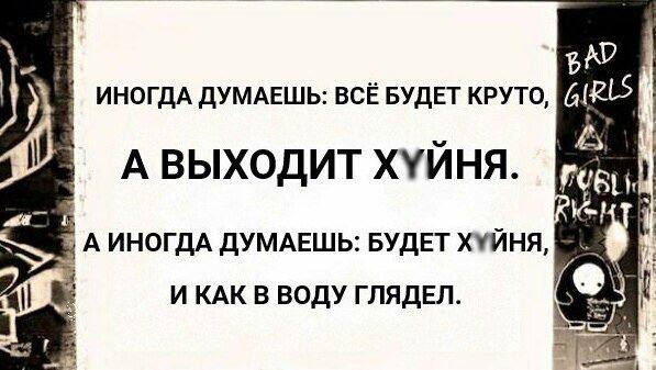 Шаверм из картинок на будень
