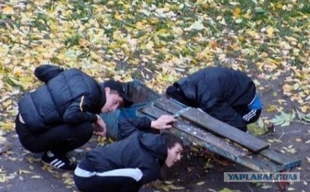 В Минюсте заявили, что ведут переговоры с бизнесом для привлечения заключённых к работам вместо мигрантов
