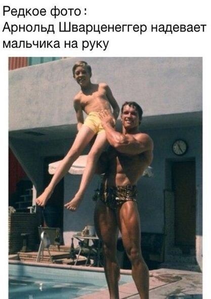 Жаба на коньках