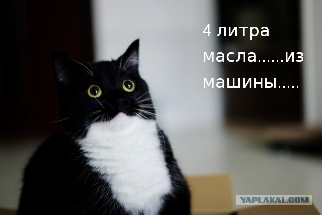 Как от меня съезжала девушка