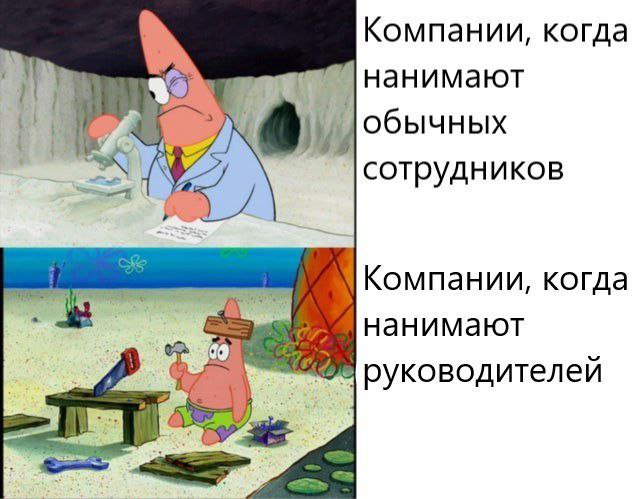 Всяческие картинки 29.12.2021
