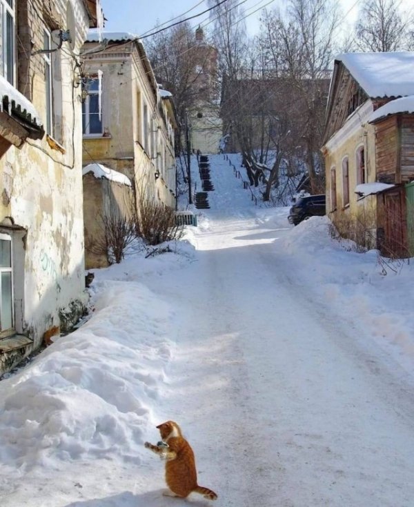 Прикольные и просто красивые картинки 12.01.2022