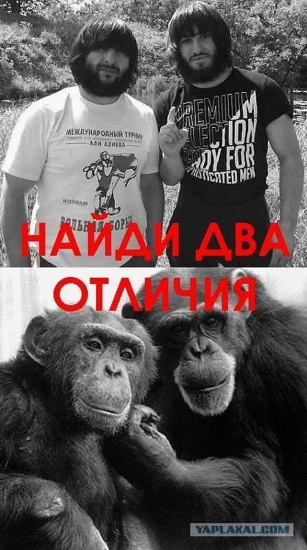 Дети гор