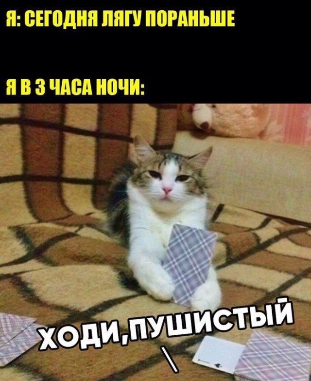 Картинки и мемы для настроения - 22