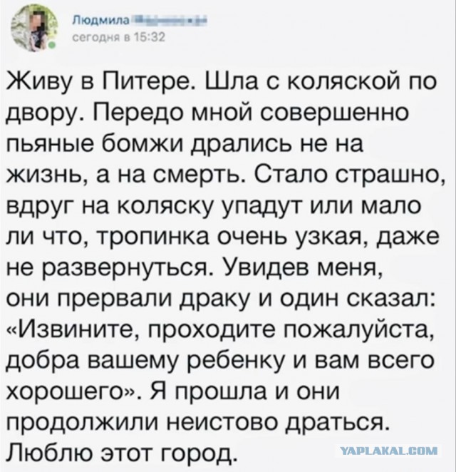 Скриншоты и комментарии из социальных сетей 20.07.22
