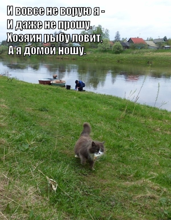 Картинки и мемы для настроения - 23