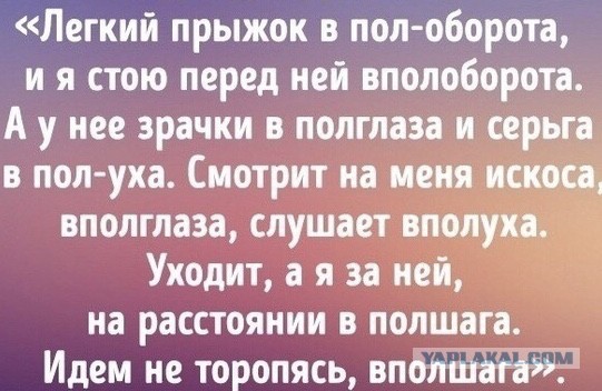Небольшой урок русского языка
