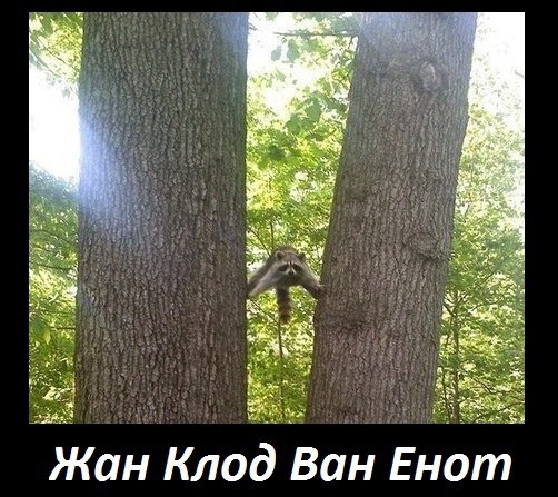 Картинки. Без темы
