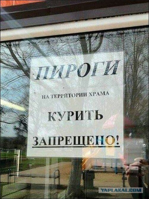 Перлы - 24.12.22