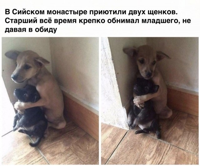 Так себе картинки 10.01.23