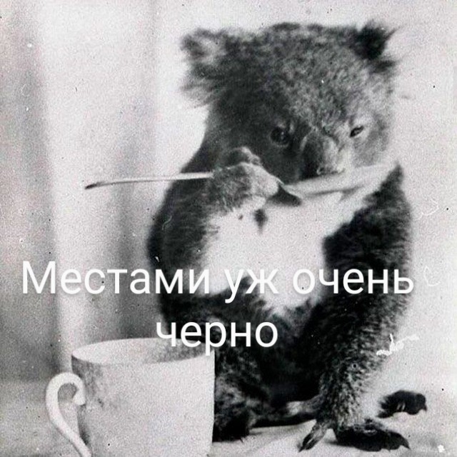 И тут они все внезапно вспомнили о своих охрененно срочных и важных делах