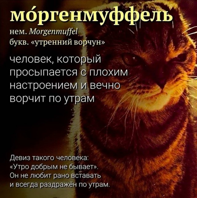 Немного картинок для настроения - 155