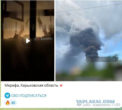 Тем временем в Краснодаре