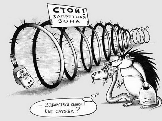 Так себе картинки 02.06.23