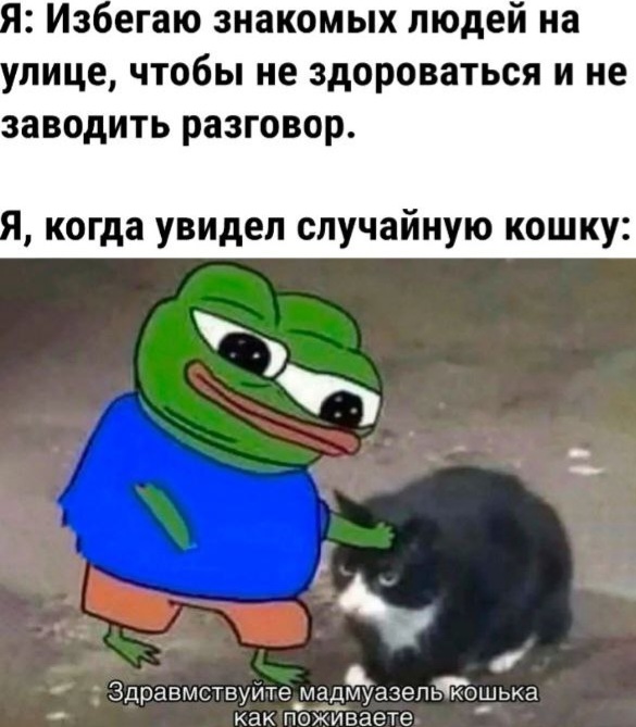 Всего понемногу. От 03.08.23