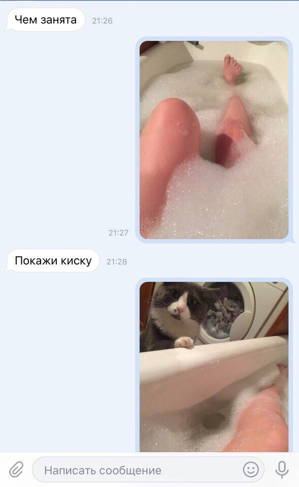 Так себе картинки 22.10.24