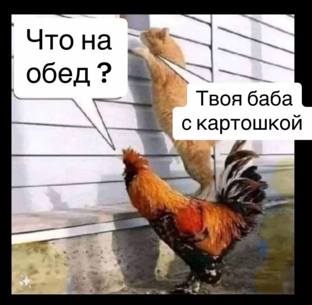 Куда курица делась?
