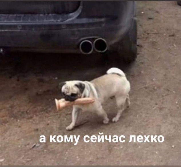 Всего понемногу. От 08.12.24