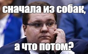 В Госдуме предложили варить мыло из бродячих собак