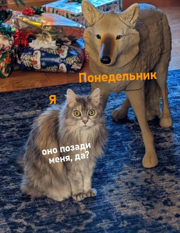Картинки для деградации 14 (разной степени свежести)