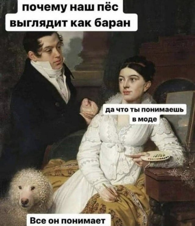 Веселое настроение в картинках (24.10.2025)