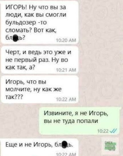 Субботние картинки