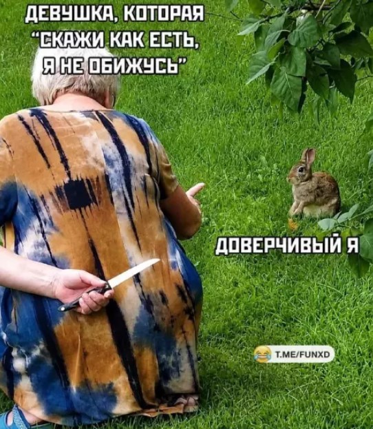 Картинки для деградации 207 (разной степени свежести)