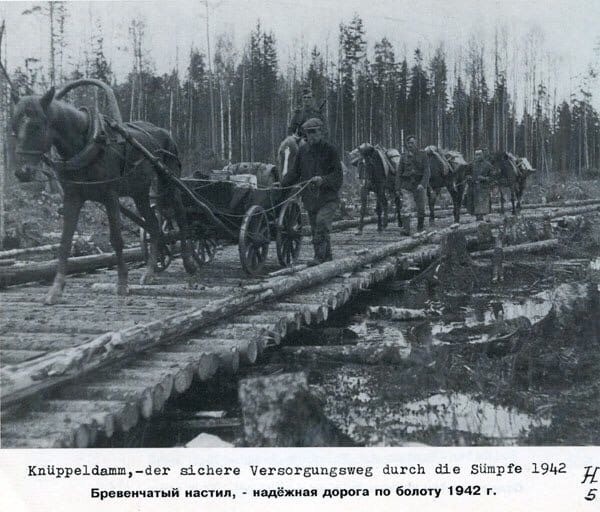 Июнь 1942-го. Агония 2 ударной армии Волховского фронта