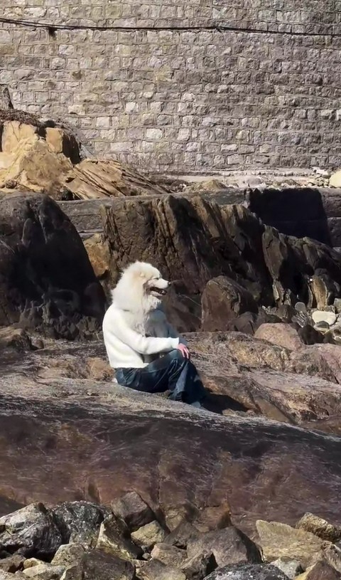 Не больной ублюдок, а хорошая фантазия