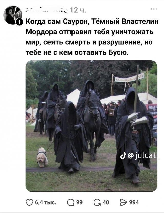 Картинки для деградации 304 (разной степени свежести)