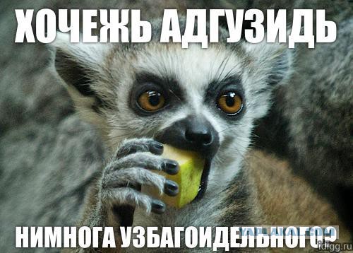 Узбагойся