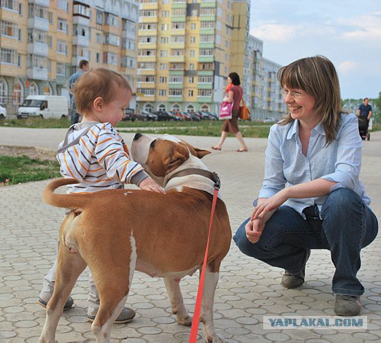 Собакочетверг на 02.01.2014