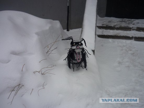 Креативная пёсомусорка