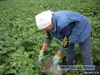 Антон из Краматорска