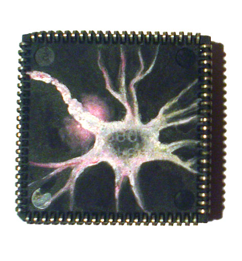 Наши микросхемы самые художественные!