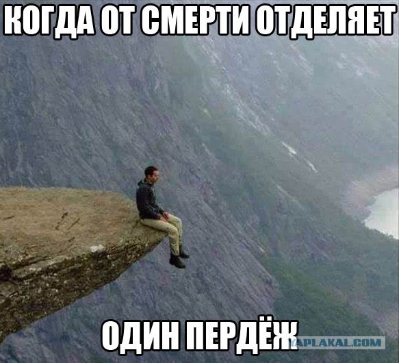 Картинки