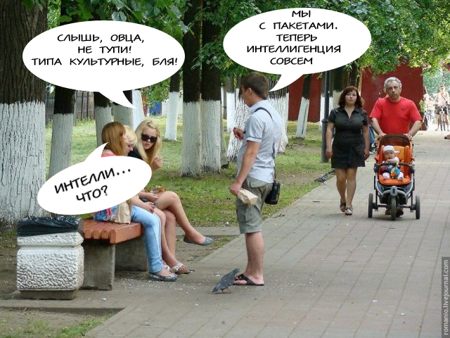 Культурный Ярославль