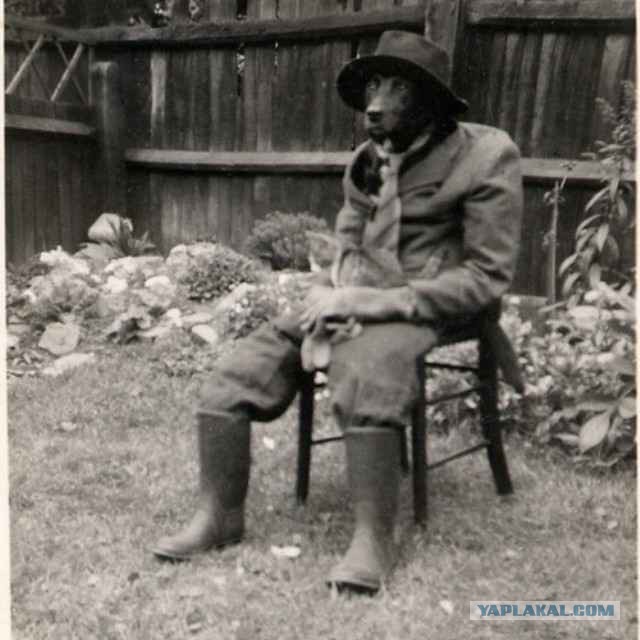 40 удивительных исторических фотографий