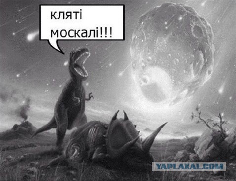 Советы от цензора
