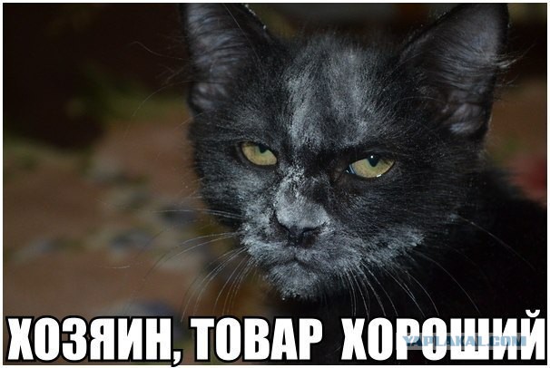 Упоротые картинки